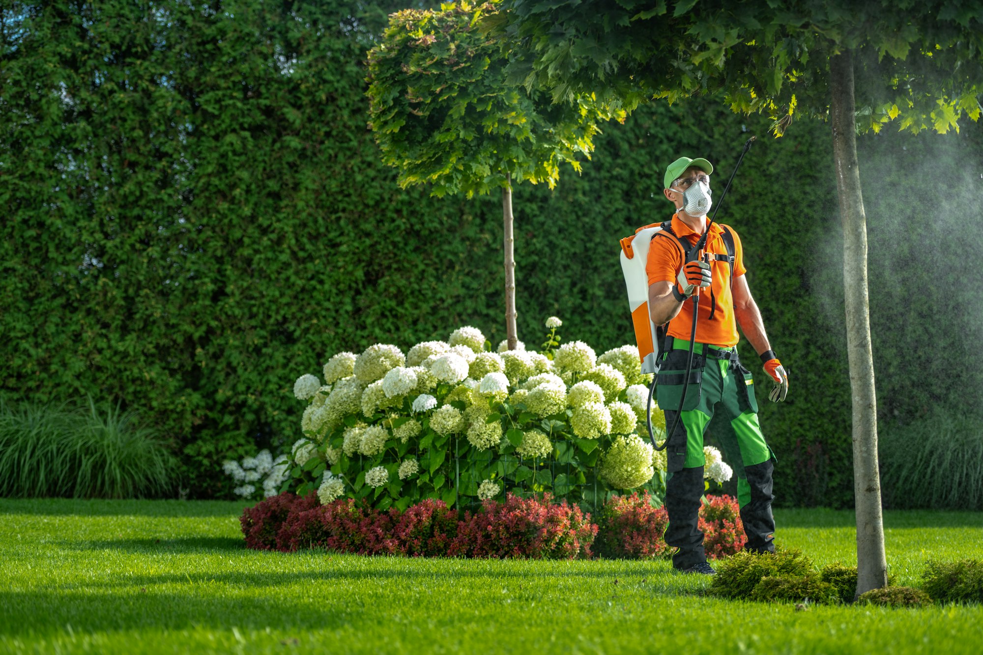 Professional Gardener in His 40s Insecticide Garden Plants